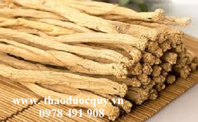 Bài thuốc trị chứng mệt mỏi tâm tỳ hư