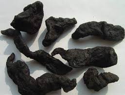 Bài thuốc chữa sạm da